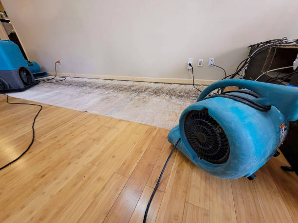 Professional Structural Drying technician working in Bunn, NC